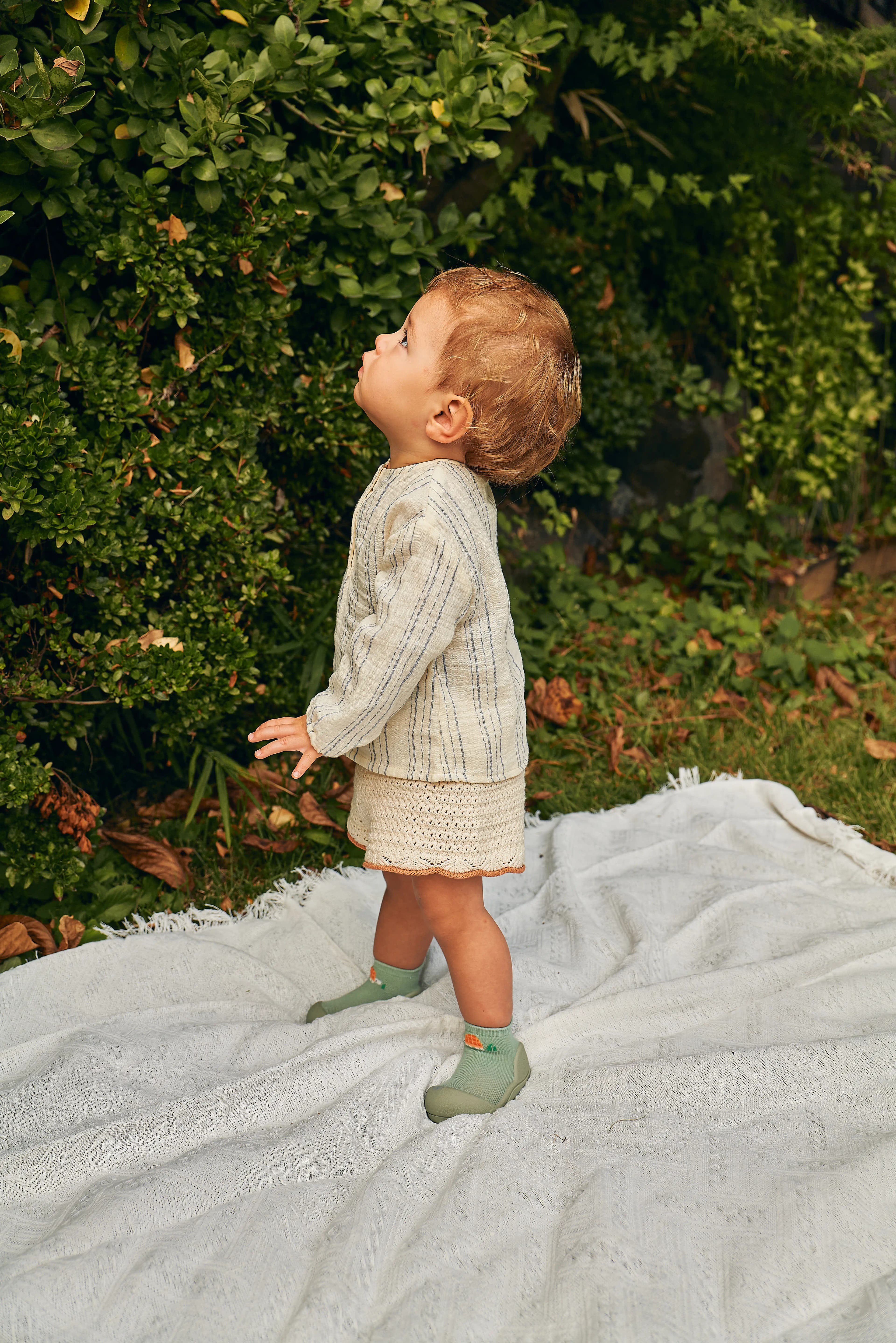 Tortoise - Attipas Baby Shoes